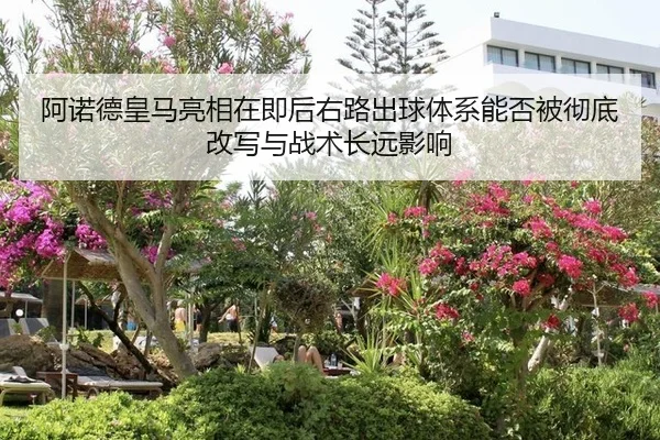 a-nuo-de-huang-ma-liang-xiang-zai-ji-hou-you-lu-chu-qiu-ti-xi-neng-fou-bei-che-di-gai-xie-yu-zhan-shu-chang-yuan-ying-2-240.jpg
